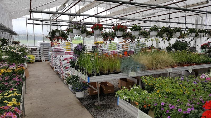 Fröjas, Oasen i Ås